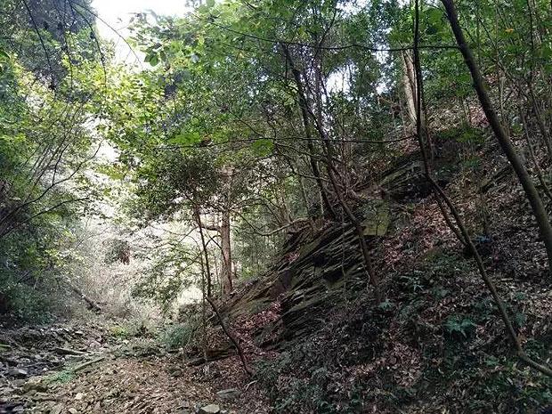 王祥喜在调度全国安全防范工作时强调 认真学习贯彻习近平总书记重要指示精神 全力抓好春节前后安全生产和防灾减灾救灾工作
